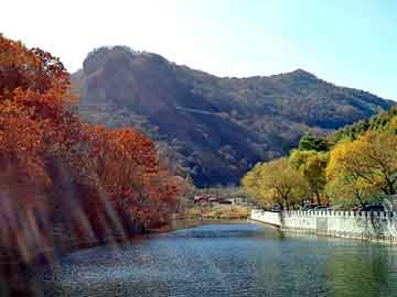 澳门天天免费精准大全，深圳地垫厂家